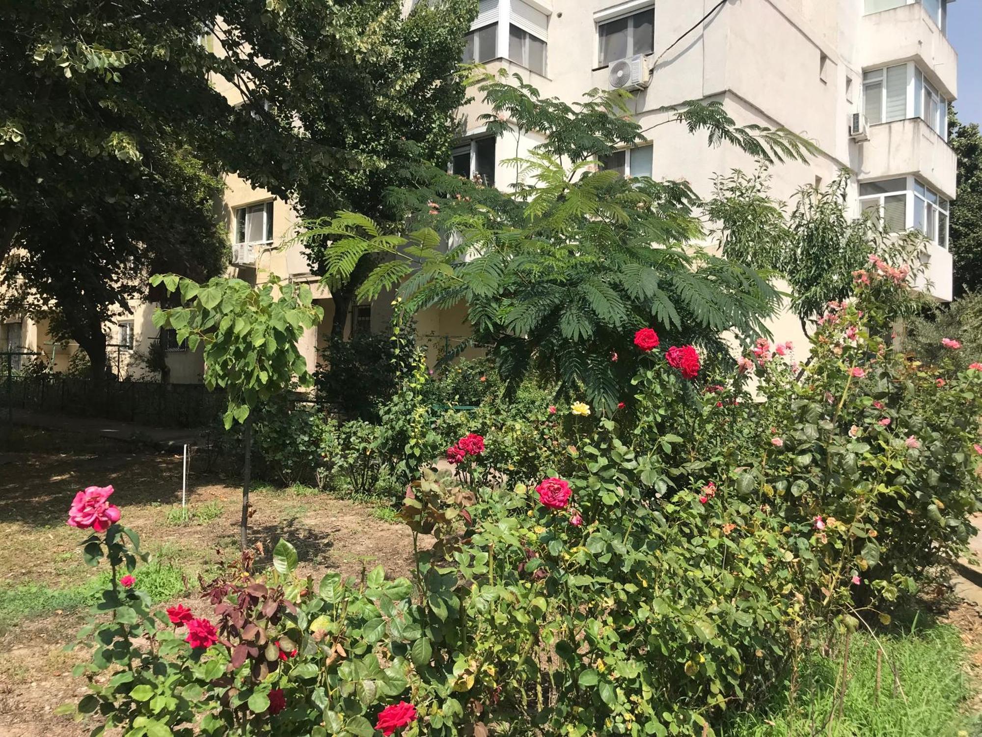 Apartament Langa Plaja Diana มันกาเลีย ภายนอก รูปภาพ