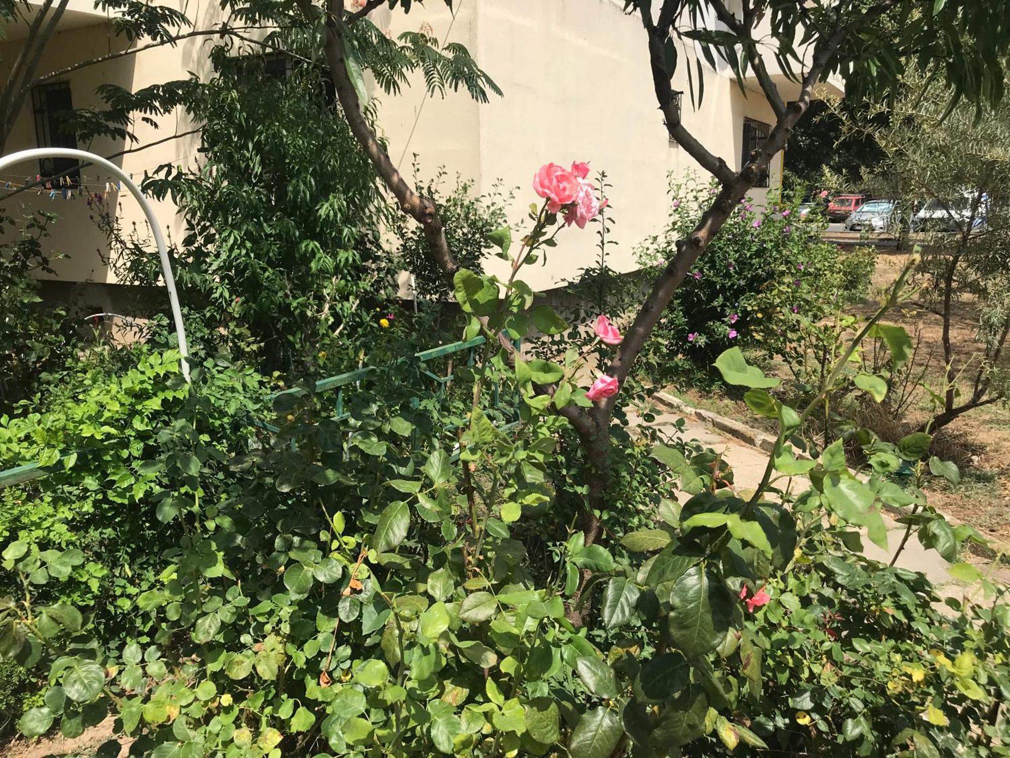 Apartament Langa Plaja Diana มันกาเลีย ภายนอก รูปภาพ